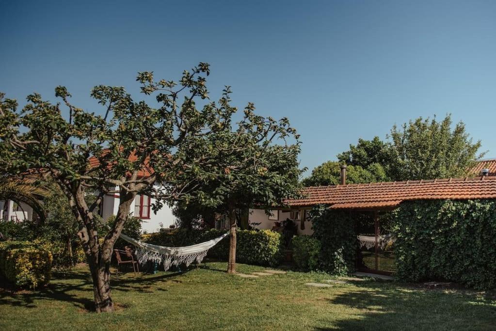Casa De Marlaes Villa Lousada Esterno foto