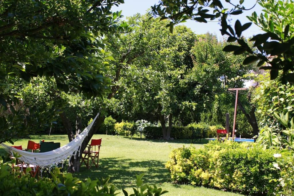Casa De Marlaes Villa Lousada Esterno foto