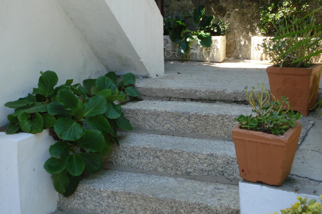Casa De Marlaes Villa Lousada Esterno foto
